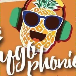 festival-les-zygophonies-