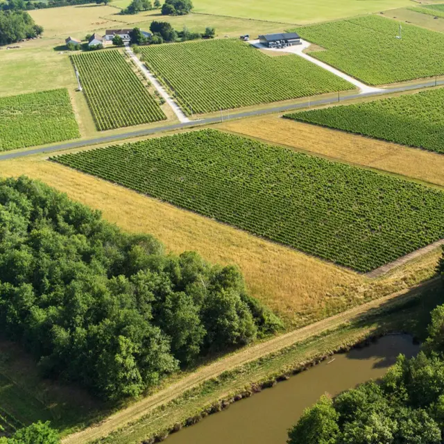 lionel-gosseaume-vigneron12-r146lxufg7zlote45iytbinbqmpbbjxqi0ck8i7zk8