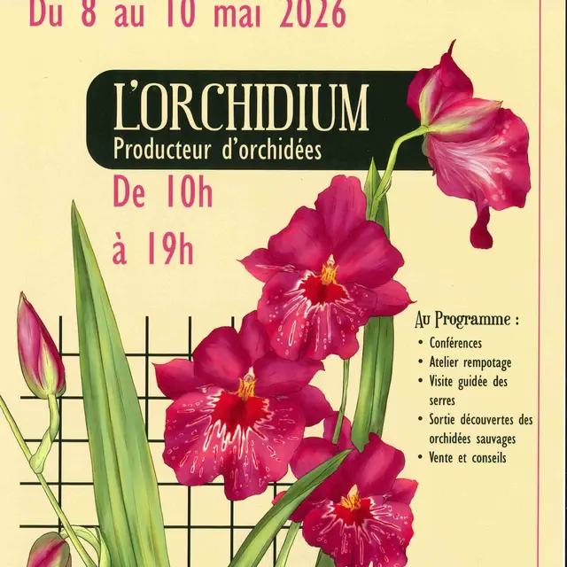 orchidium_page-0001