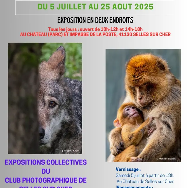 Expo Photo Folies 41 - 1