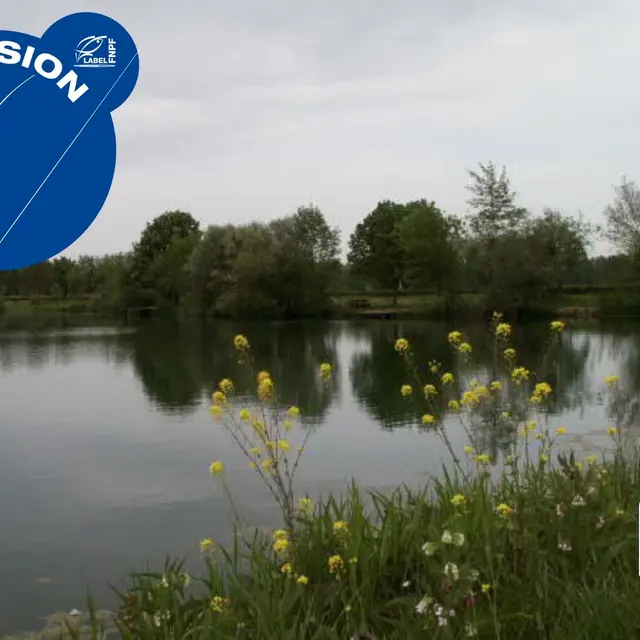 affiche inauguration morthèze site