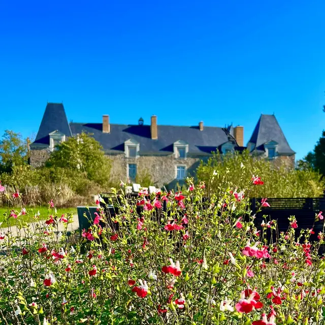 Le château de Linières