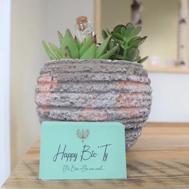 490803991_1225295632938351_6077905792833154139_n