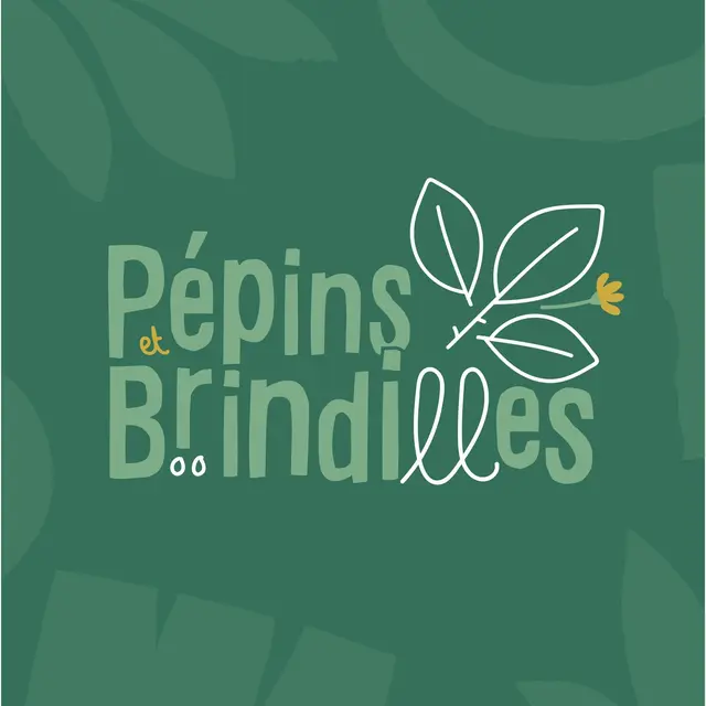 496692754_122186675966279089_8182734426059751073_n