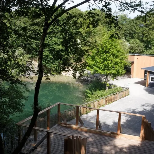 517877_img_0496cr2_-_copie