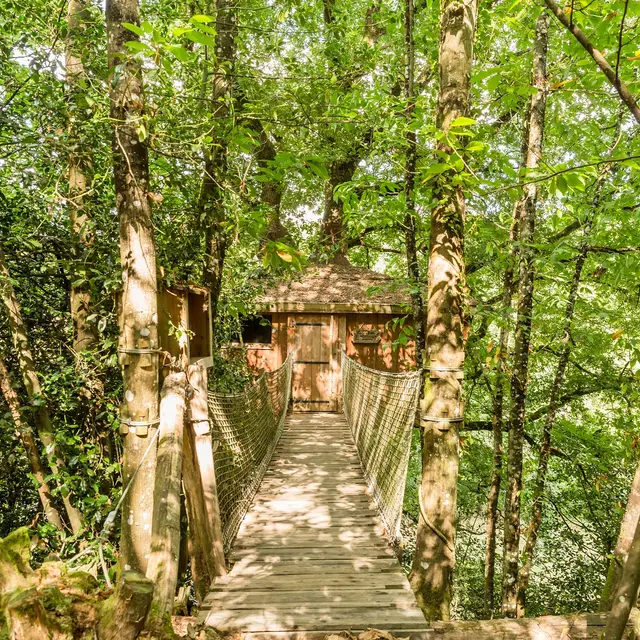 Cabane perché dans les arbres l'Orbière Laval