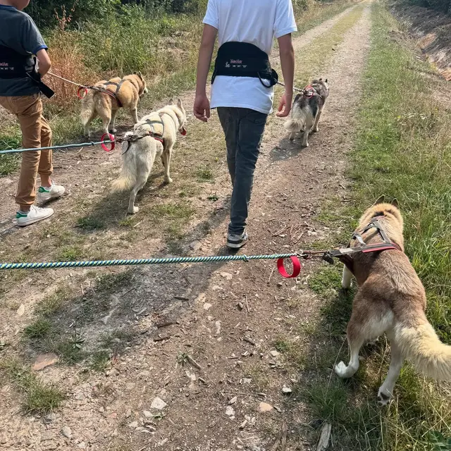 534199432_17981228288853152_709718032799606425_n