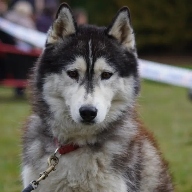 568480968_17988593816853152_8127416376673291818_n