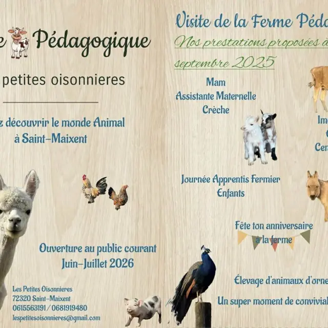 571176768_1132930458963789_5103565720021333922_n