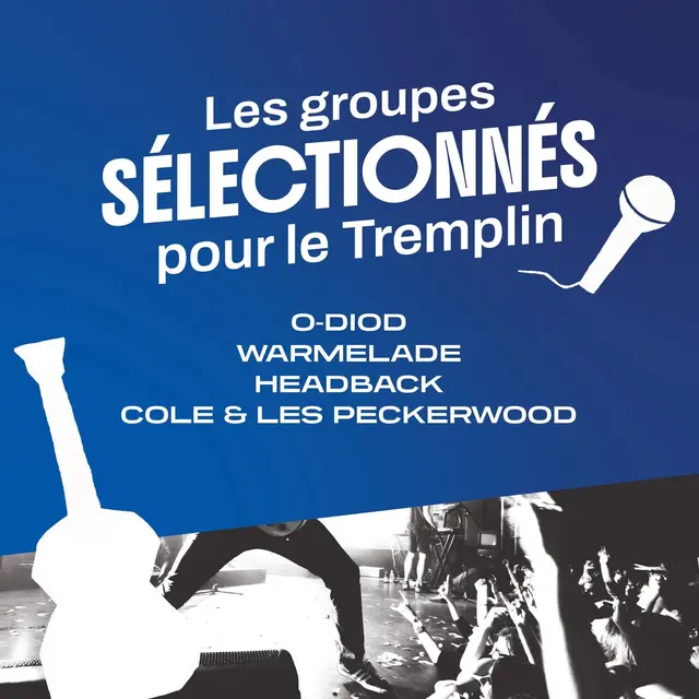 610809488_1498071285657355_8816367638736876418_n