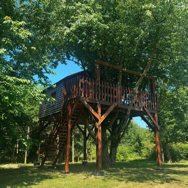 6c6b992f-ae0a-4448-aaf9-604c967dec41