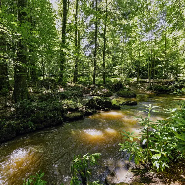 Pontmain randonnee pedestre circuit du chateau de mausson 53