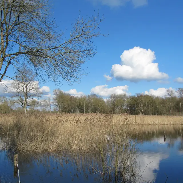 Randonnée pédestre. Bazouges Cré sur Loir