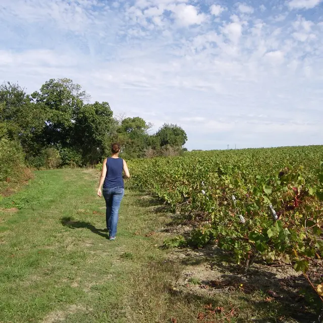 circuit-hte-chapelle-LCBM-levignoblenantes-tour (2)