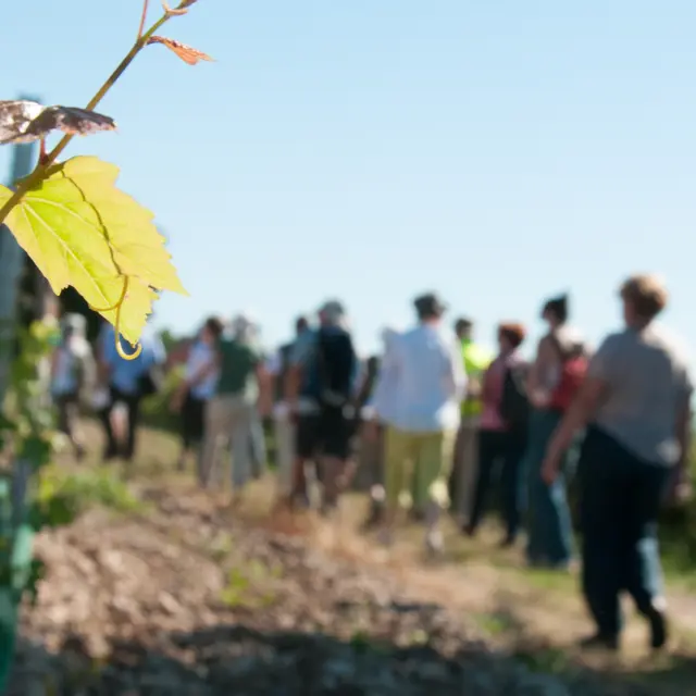 Randonnée pédestre. Marçon