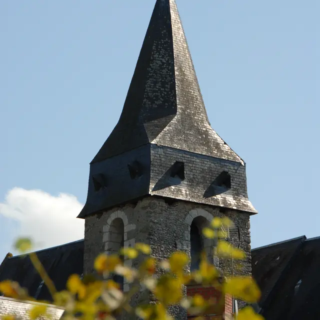 Randonnée pédestre. Luceau