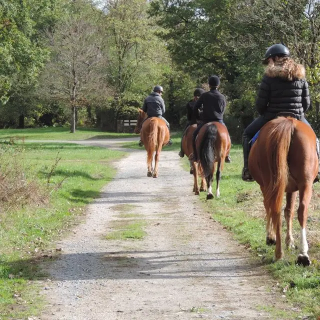 2-Poney-Club du Gué de selle