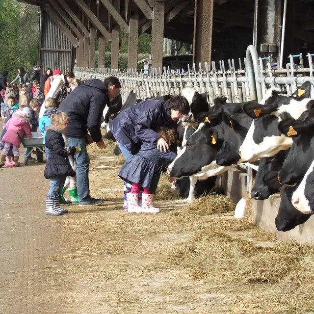 2014-activiteloisirs-fermelapequinire-laboissieredudore-44- (2)