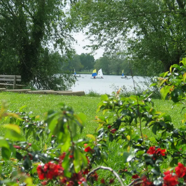 2015-Plan-deau-du-Chêne-Saint-Julien-de-Concelles-44-LOI