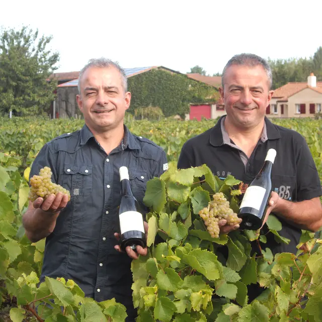 2016-cave-domaine-martin-luneau-panneau-gorges-44-levignobledenantes-tourisme-DEG (5)