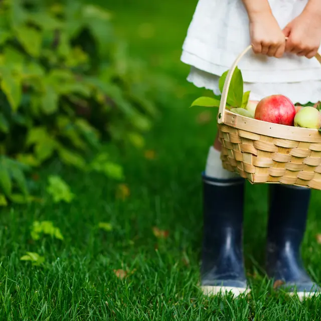 2016-ferme-chebuette-st-julien-concelles-44-levignobledenantes-tourisme-DEG (1)