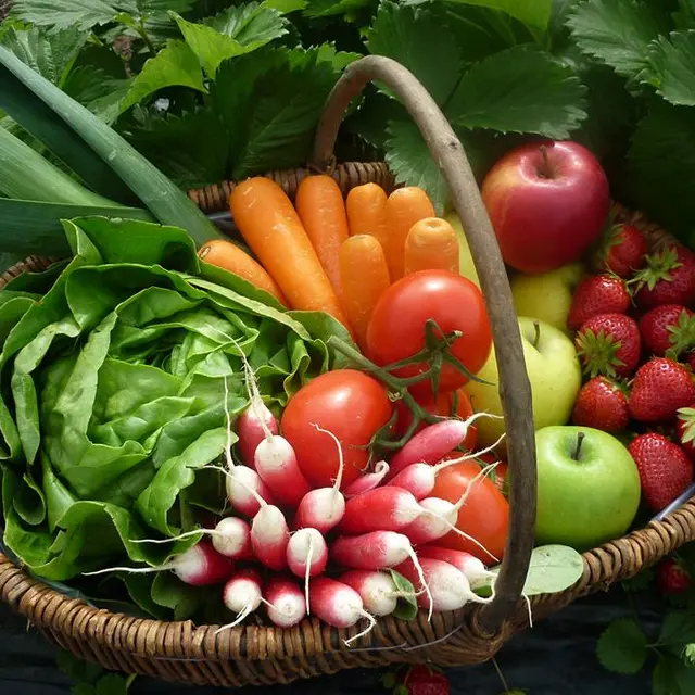 2016-ferme-chebuette-st-julien-concelles-44-levignobledenantes-tourisme-DEG (3)