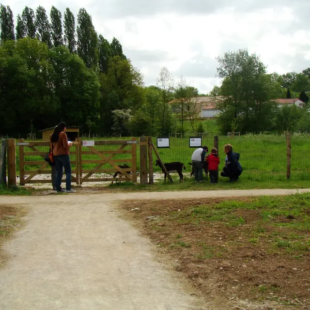 2018-coulee-logne-vallet-vignoblenantes-tourisme (6)