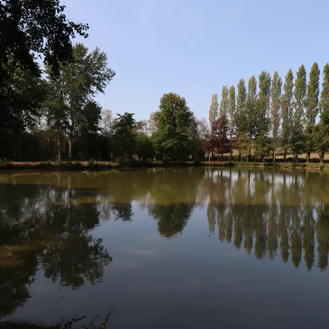 Étang de l'Oisellerie