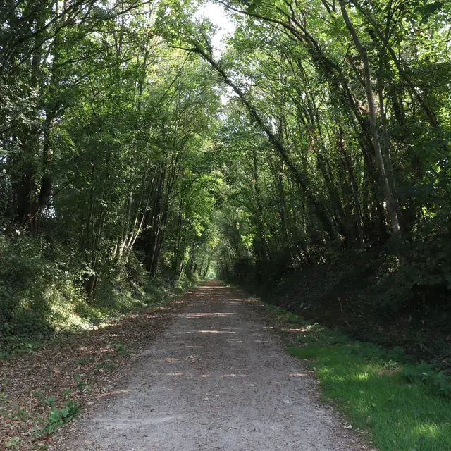 Voie verte Haute Sarthe Alpes Mancelles