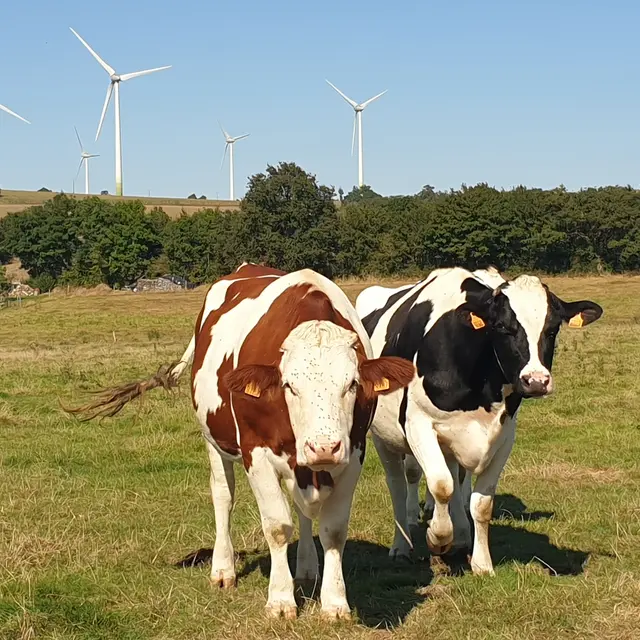 sur le sentier de la chapelle de Bon Secours
