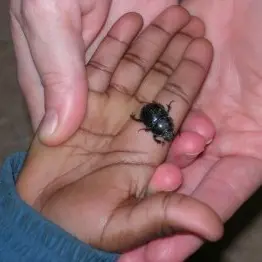 271563_centre_de_loisirs5__017508900_1620_28012008