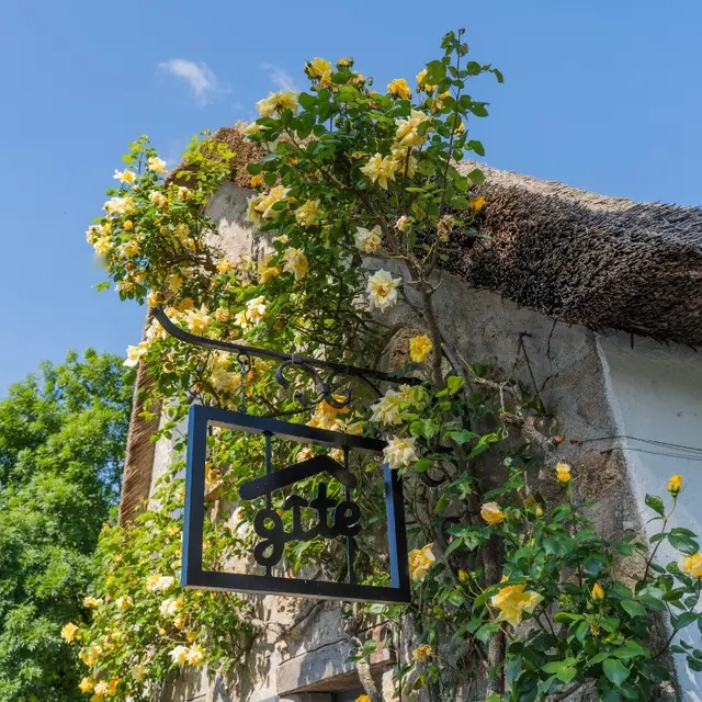 81782 - Pignon  et Entrée indépendante de la Chaumière Anouck
