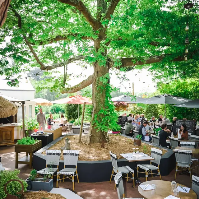 Terrasse