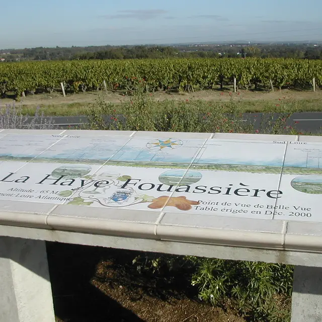 table-orientation-la-haye-fouassiere-44-PNA