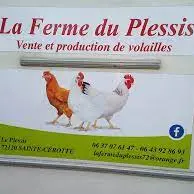 téléchargement
