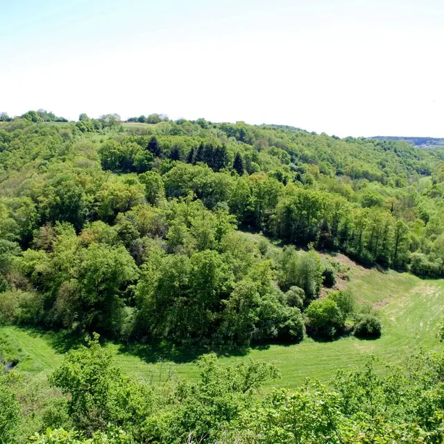 circuit-pedestre-le-passeur-de-montaigu-saint-leonard-des-bois-72-iti-1