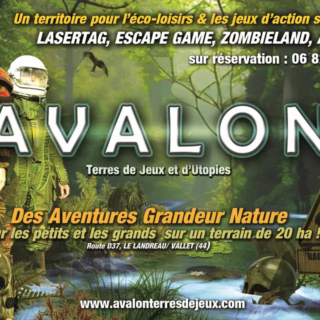 visuel flyers avalon220244