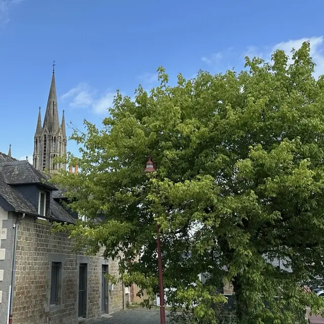 Gite Auprès de mon arbre Pontmain 53