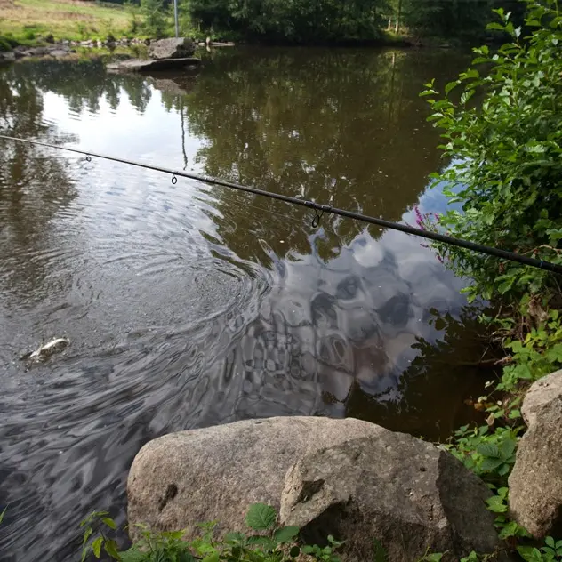 ASC53-peche-hautemayenne