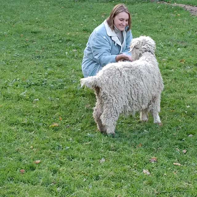 Asinerie Bois Gamats 020