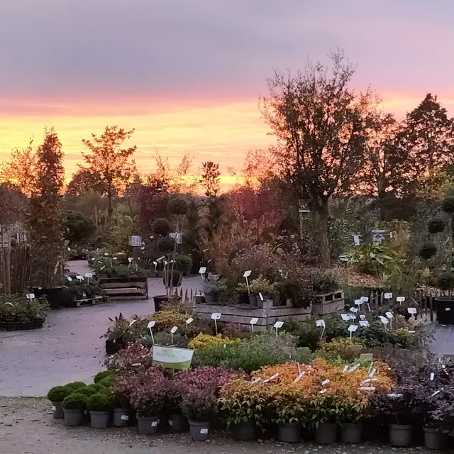 Zone Expo-vente - Couché de Soleil