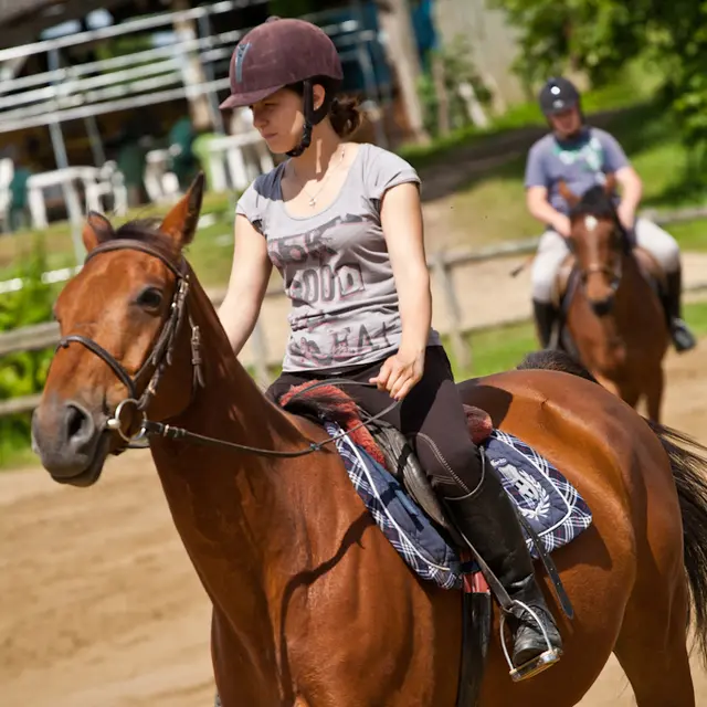 LOI72-vibraye-equitation-1