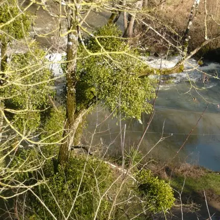 BaladeCulturelle-LePallet_2024_levignobledenantes-tourisme.com