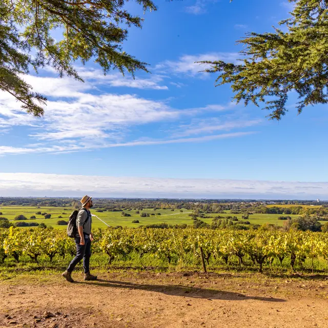 Butte de la roche le loroux bottereau vignoble de nantes tourisme credit Solutions et co -clo et clem jusque 2026