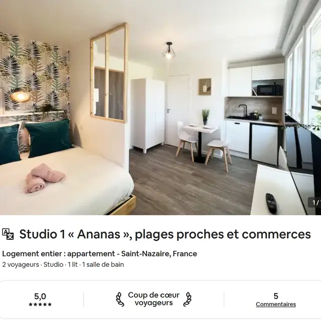 COUP DE COEUR VOYAGEUR ANANAS