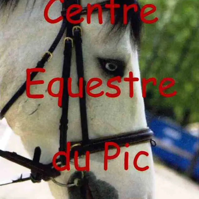 LOI72-centreequestredupic-Gréez