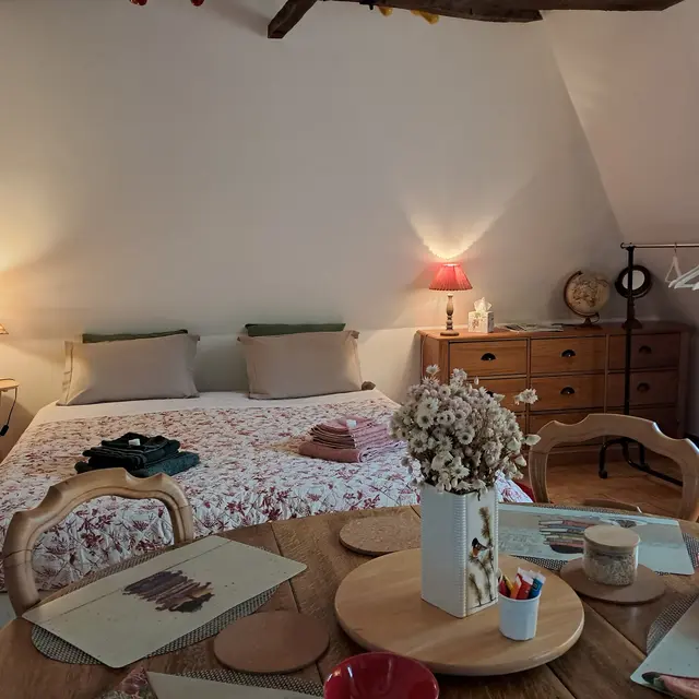 Chat-hirsute-2025-chambr-config-lit-double-1