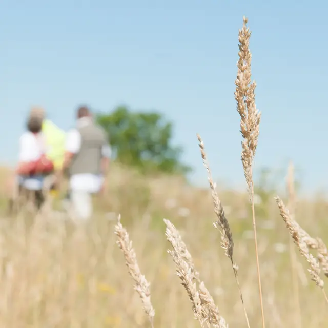 Randonnée pédestre-La Chapelle gaugain