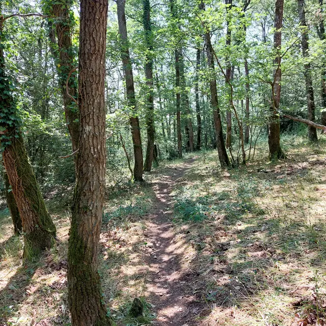 Circuit Grand tour du Domaine du Gasseau