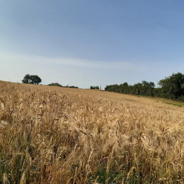 Circuit du Moulin Barbet (1)